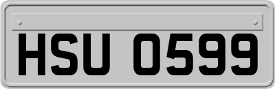 HSU0599