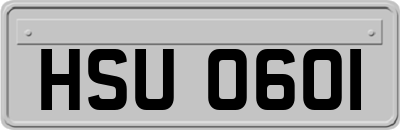 HSU0601