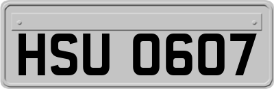 HSU0607