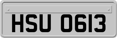 HSU0613
