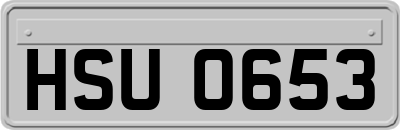 HSU0653