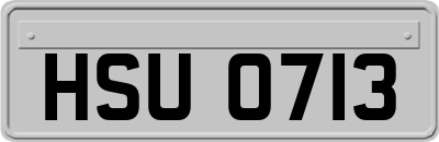 HSU0713