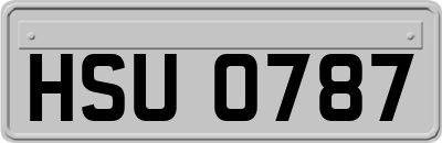 HSU0787