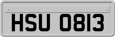 HSU0813