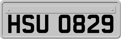 HSU0829
