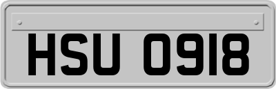 HSU0918