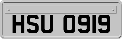 HSU0919
