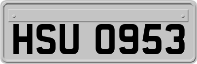 HSU0953