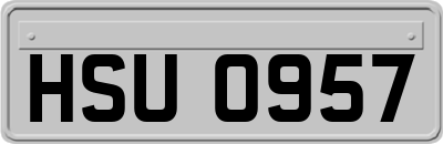 HSU0957