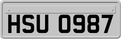 HSU0987