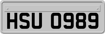 HSU0989