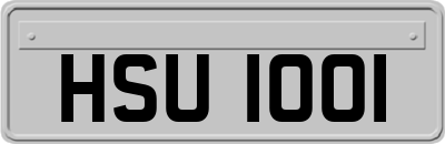 HSU1001