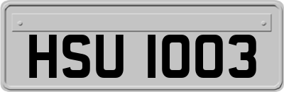 HSU1003