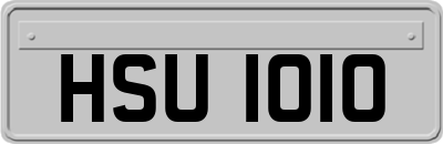 HSU1010