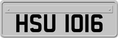 HSU1016