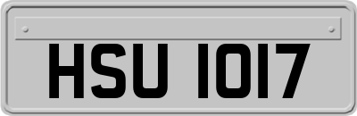 HSU1017