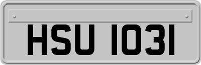 HSU1031