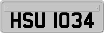 HSU1034
