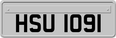 HSU1091