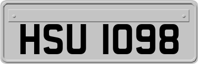 HSU1098