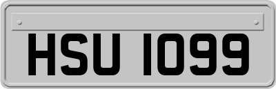HSU1099