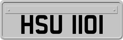 HSU1101