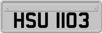 HSU1103