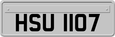 HSU1107
