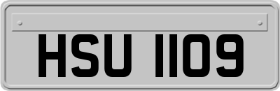 HSU1109