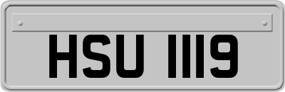 HSU1119