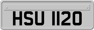 HSU1120