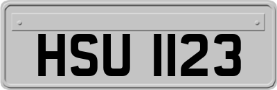 HSU1123