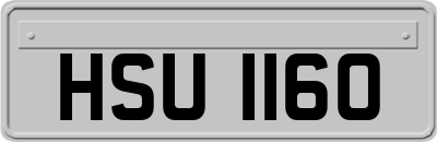 HSU1160