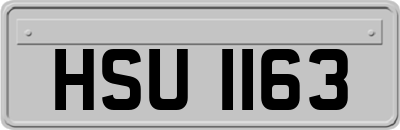 HSU1163