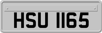 HSU1165