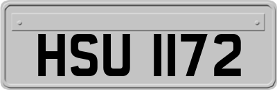 HSU1172