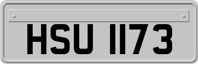 HSU1173