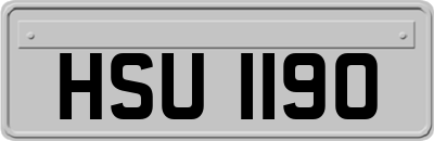 HSU1190
