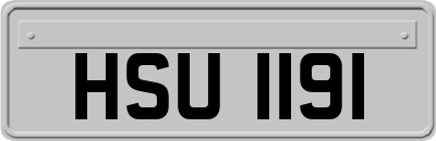 HSU1191