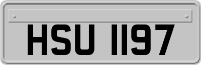 HSU1197