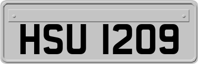 HSU1209