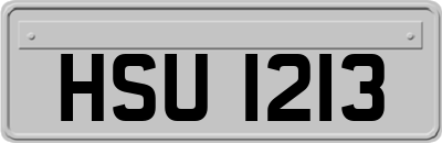HSU1213