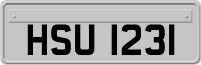 HSU1231
