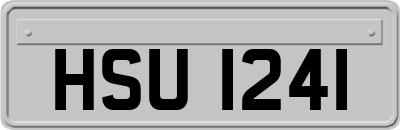 HSU1241