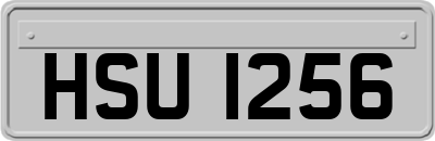 HSU1256