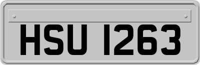 HSU1263