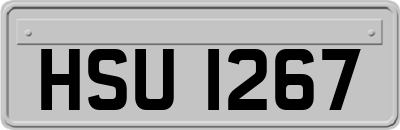 HSU1267
