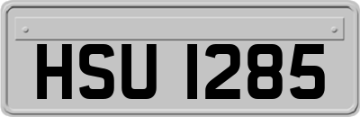 HSU1285