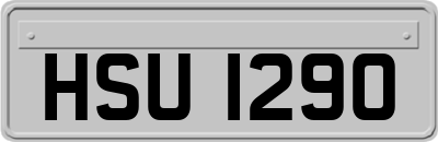 HSU1290