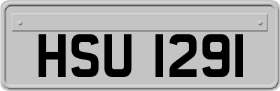 HSU1291